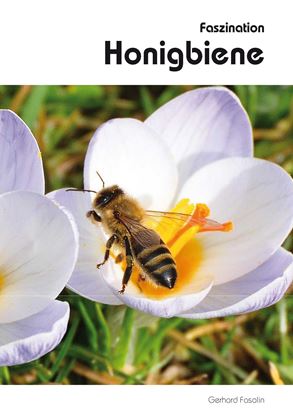 Bild von Faszination Honigbiene